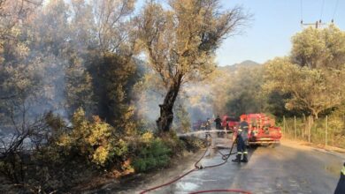 Φωτιά-στη-Λέσβο-στην-περιοχή-Πυργί-–-Ήχησε-το-112
