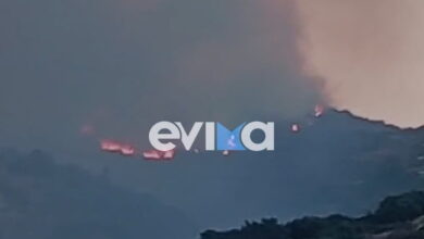 Εύβοια:-Μεγάλη-φωτιά-σε-χαμηλή-βλάστηση-στην-Κάρυστο-–-Εκκενώθηκε-ξενοδοχείο,-ήχησε-το-112