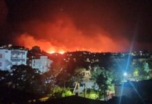 Φωτιά-στη-Χίο:-Ανεξέλεγκτα-τα-μέτωπα-–-Σε-απόσταση-αναπνοής-από-τα-σπίτια-οι-φλόγες,-έχουν-καεί-αποθήκες