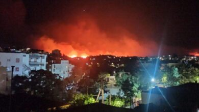 Φωτιά-στη-Χίο:-Ανεξέλεγκτα-τα-μέτωπα-–-Σε-απόσταση-αναπνοής-από-τα-σπίτια-οι-φλόγες,-έχουν-καεί-αποθήκες