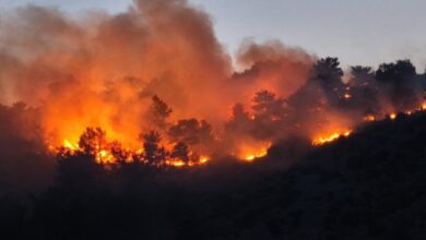 Φωτιά-στη-Χίο:-Δυο-προσαγωγές-για-εμπρησμό-–-Μάχη-με-τις-αναζωπυρώσεις