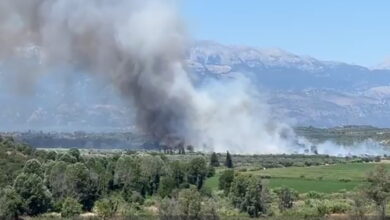 Φωτιά-σε-δάσος-στο-Λευκόχωμα-Λακωνίας:-Μήνυμα-από-το-112-στους-κατοίκους
