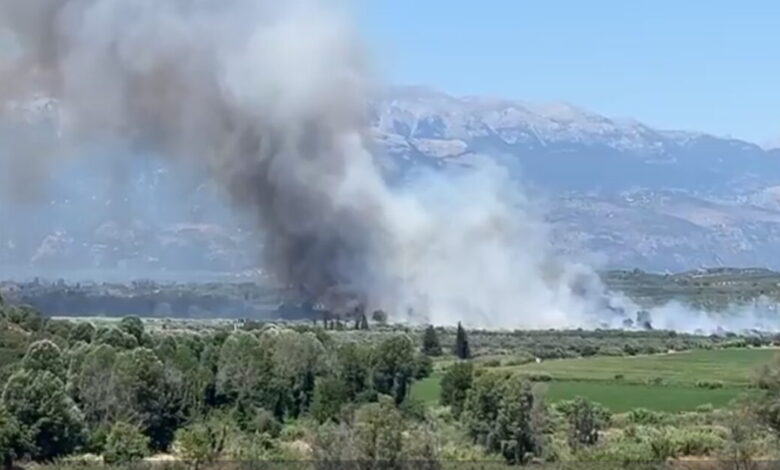 Φωτιά-σε-δάσος-στο-Λευκόχωμα-Λακωνίας:-Μήνυμα-από-το-112-στους-κατοίκους