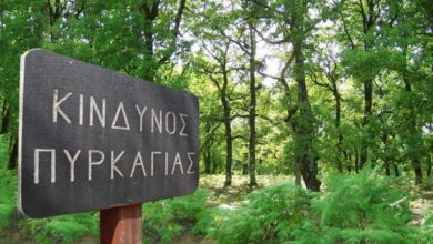 Θεσσαλία:-Σε-ετοιμότητα-η-Πολιτική-Προστασία-για-αντιμετώπιση-πιθανών-πυρκαγιών