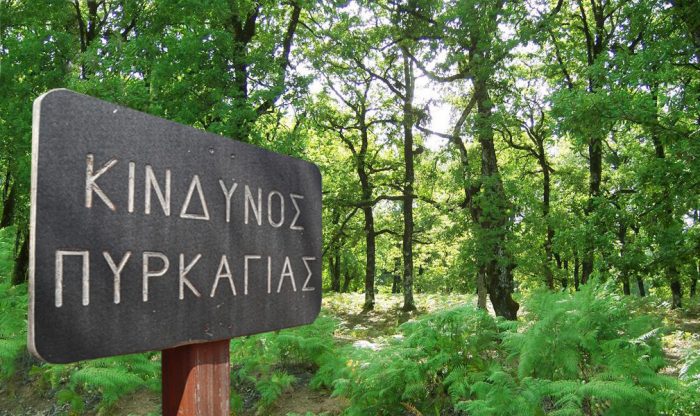 Θεσσαλία:-Σε-ετοιμότητα-η-Πολιτική-Προστασία-για-αντιμετώπιση-πιθανών-πυρκαγιών