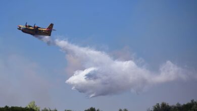 Φωτιά-στη-Σπάρτη,-στην-περιοχή-Άγιοι-Ανάργυροι-–-Σηκώθηκαν-4-εναέρια-μέσα