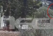 Φωτιά-στην-Παλαιά-Φώκαια:-Βίντεο-ντοκουμέντο-με-το-ξεκίνημα-του-πύρινου-εφιάλτη-από-βραχυκύκλωμα-σε-καλώδια-ηλεκτροδότησης