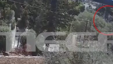Φωτιά-στην-Παλαιά-Φώκαια:-Βίντεο-ντοκουμέντο-με-το-ξεκίνημα-του-πύρινου-εφιάλτη-από-βραχυκύκλωμα-σε-καλώδια-ηλεκτροδότησης