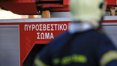 kάηκε-ολοσχερώς-όχημα-στη-Μεγάλη-Κερασιά-Καλαμπάκας