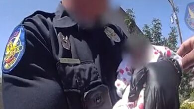 Μωρό-επιβίωσε-μία-εβδομάδα-δίπλα-στη-νεκρή-μητέρα-του-–-Συγκλονιστικό-βίντεο-από-την-Αριζόνα