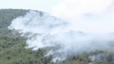 Η-Σμύρνη-στις-φλόγες-–-Ανεξέλεγκτες-μαίνονται-9-από-τις-77-πυρκαγιές,-άνεμοι-πάνω-από-120-χιλιόμετρα