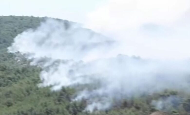 Η-Σμύρνη-στις-φλόγες-–-Ανεξέλεγκτες-μαίνονται-9-από-τις-77-πυρκαγιές,-άνεμοι-πάνω-από-120-χιλιόμετρα