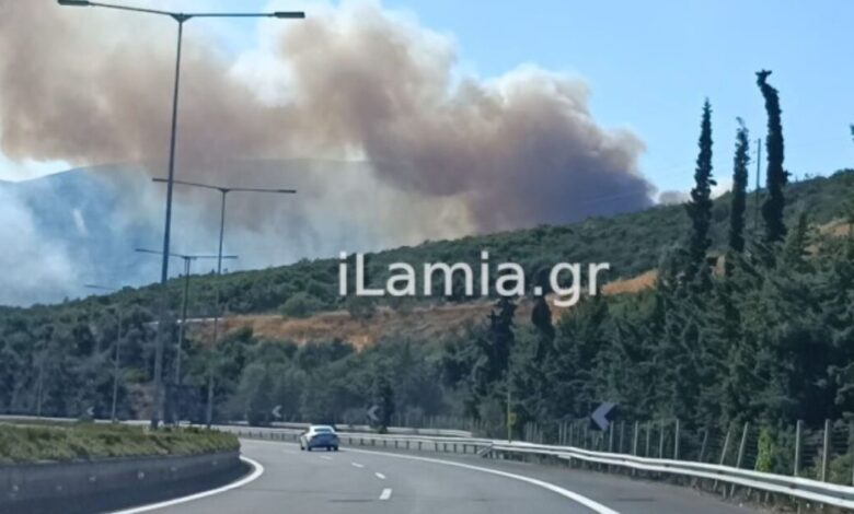 Μεγάλη-Φωτιά-στο-Αχλάδι-Φθιώτιδας-–-mήνυμα-από-το-112