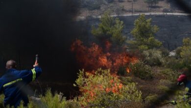 Πολύ-υψηλός-κίνδυνος-πυρκαγιάς-σε-5-περιοχές-–-Συναγερμός-σε-Αττική,-Στερεά-Ελλάδα,-Πελοπόννησο,-Αιγαίο-και-Κρήτη