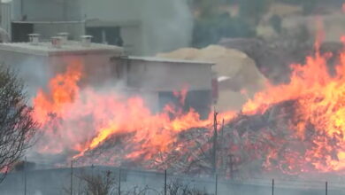 Φωτιά-στις-Σέρρες:-Οι-φλόγες-έκαψαν-600-στρέμματα-και-400-ελαιόδεντρα-–-Ήχησε-το-112,-σηκώθηκαν-12-εναέρια-μέσα