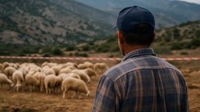 Επιστρέφει-ο-εφιάλτης-της-ευλογιάς-–-Σε-καθεστώς-αποκλεισμού-η-μισή-Θεσσαλία