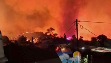 Ολονύχτια-μάχη-με-τη-φωτιά-στα-Μεσοχώρια-Ευβοίας:-Οι-φλόγες-«γλείφουν»-τις-αυλές-σπιτιών-–-Μήνυμα-του-112-για-εκκένωση-των-Τσακαίων