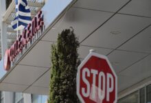 Σκάνδαλο-ΟΠΕΚΕΠΕ:-to-χωράφι-του-στην-Πύλη-βρέθηκε-δηλωμένο-σε-άλλο-ΑΦΜ-(βίντεο)