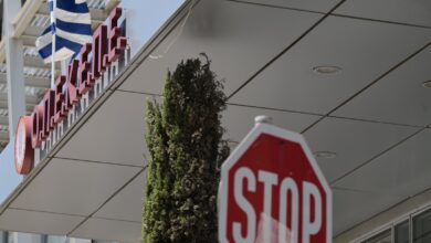 Σκάνδαλο-ΟΠΕΚΕΠΕ:-to-χωράφι-του-στην-Πύλη-βρέθηκε-δηλωμένο-σε-άλλο-ΑΦΜ-(βίντεο)