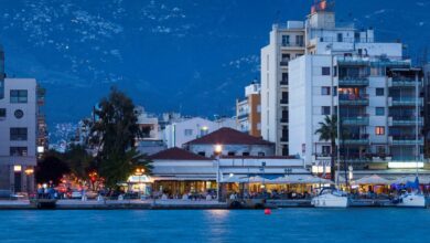Οι-αστυνομικοί-συνέλαβαν-τον-δημοσιογράφο-παραμονεύοντας-σε-ένα-ΙΧ