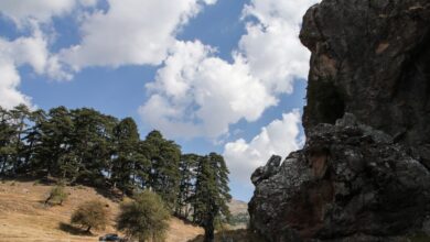 Χαλκιδική:-Απαγόρευση-κυκλοφορίας-σε-περιοχές-της-Κασσάνδρας,-Σιθωνίας-και-Αριστοτέλη-την-Δευτέρα-λόγω-καύσωνα
