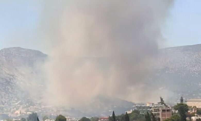 Συνελήφθη-ένας-55χρονος-μελισσοκόμος-για-την-φωτιά-στην-Αλυκή