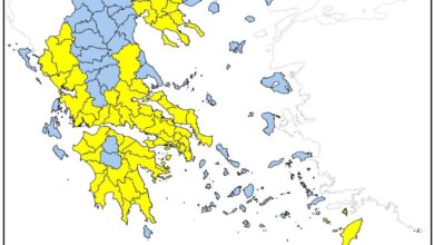 Συναγερμός-για-υψηλό-κίνδυνο-πυρκαγιάς-στη-Θεσσαλία-τη-Δευτέρα-7-Ιουλίου-–-Σε-αυξημένη-ετοιμότητα-οι-υπηρεσίες