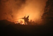 Συρία:-Γιγαντιαίες-πυρκαγιές-στη-Λατάκεια-Αναφορές-για-εσκεμμένους-εμπρησμούς-κατά-των-Αλαουιτών