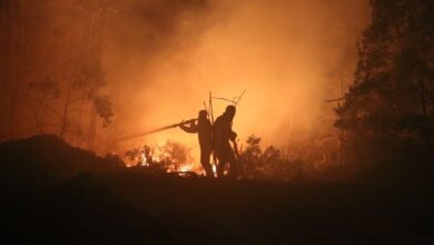Συρία:-Γιγαντιαίες-πυρκαγιές-στη-Λατάκεια-Αναφορές-για-εσκεμμένους-εμπρησμούς-κατά-των-Αλαουιτών