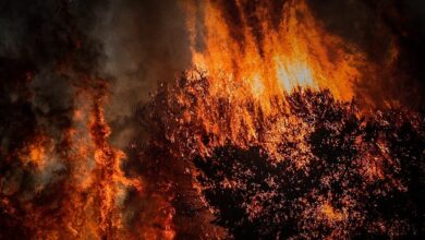Σε-κόκκινο-συναγερμό-η-χώρα-την-Τετάρτη-–-Εκρηκτικό-«κοκτέιλ»-ζέστης-και-αέρα-που-ευνοεί-τις-πυρκαγιές