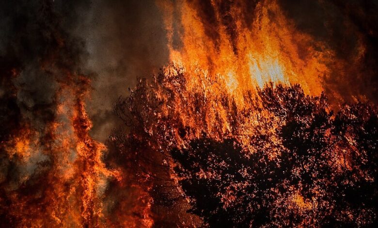 Σε-κόκκινο-συναγερμό-η-χώρα-την-Τετάρτη-–-Εκρηκτικό-«κοκτέιλ»-ζέστης-και-αέρα-που-ευνοεί-τις-πυρκαγιές