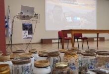 Δυναμική-παρουσία-του-Δήμου-Μετεώρων-στην-κοινή-συνάντηση-Γεωπάρκων-στην-Κόνιτσα