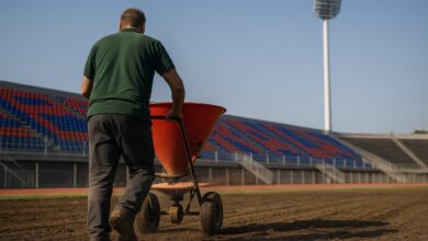 Επιτέλους…-λίγο-χόρτο-στο-Στάδιο-–-Ο-Κατσαντώνης-είπε-το-αυτονόητο