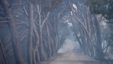 Πυρκαγιά-στη-Μασσαλία:-Εκτός-ελέγχου-αλλά-με-μειωμένη-ένταση-το-πύρινο-μέτωπο-στη-νότια-Γαλλία