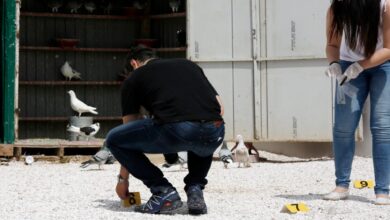 Ηλικιωμένος-αυτοκτόνησε-με-καραμπίνα-σε-αυλή-σχολείου-στην-Άρτα