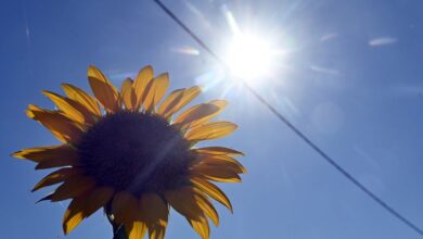 Στο-“κόκκινο¨-και-σήμερα-ο-υδράργυρος-–-Ισχυροί-άνεμοι-από-το-μεσημέρι