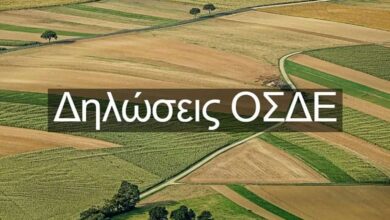 Ποιοι-άνοιξαν-το-σύστημα-προεκλογικά;-–-Ο-Κουρέτας-ζητά-παρέμβαση-εισαγγελέα