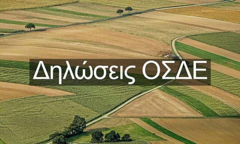 Ποιοι-άνοιξαν-το-σύστημα-προεκλογικά;-–-Ο-Κουρέτας-ζητά-παρέμβαση-εισαγγελέα