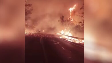 Φωτιά-στη-Θάσο:-Βελτιωμένη-η-εικόνα-από-το-πύρινο-μέτωπο-–-Καταστράφηκε-επιχείρηση,-εκκενώθηκαν-ξενοδοχεία