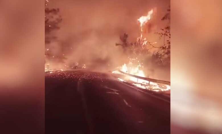 Φωτιά-στη-Θάσο:-Βελτιωμένη-η-εικόνα-από-το-πύρινο-μέτωπο-–-Καταστράφηκε-επιχείρηση,-εκκενώθηκαν-ξενοδοχεία