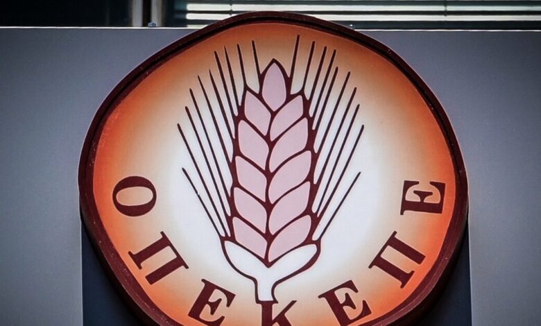 ΟΠΕΚΕΠΕ:-Νέα-έρευνα-της-ΕΛΑΣ-στα-γραφεία-του-οργανισμού-–-Η-αστυνομία-αντιγράφει-όλα-τα-ηλεκτρονικά-αρχεία