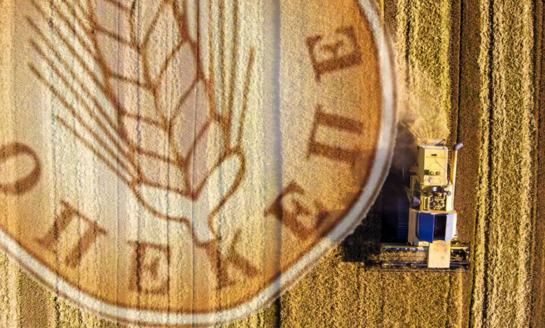 30.000-κόκκινοι-ΑΦΜ-στα-χέρια-της-∆ικαιοσύνης-–-Κρίσιμος-ο-ρόλος-των-ΚΥΔ