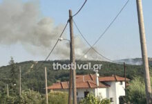 Φωτιά-στην-περιοχή-Προφήτης-Ηλίας-στο-Φίλυρο-Θεσσαλονίκης-και-μήνυμα-του-112