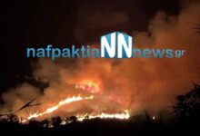 Φωτιά-στη-Ναυπακτία-στη-περιοχή-Μακύνεια-–-Ισχυρές-δυνάμεις-στο-σημείο
