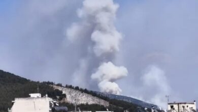Φωτιά-σε-δάσος-στη-Δράμα-στην-περιοχή-Χωριστή-–-Ισχυρές-δυνάμεις-στο-σημείο