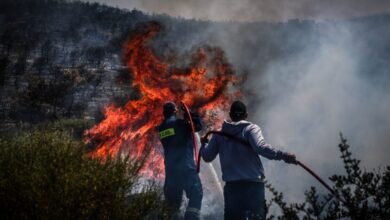 Φωτιά-σε-κτηνοτροφική-μονάδα-στο-Κιλκίς:-Ήχησε-το-112-–-«Κλείστε-πόρτες-και-παράθυρα»