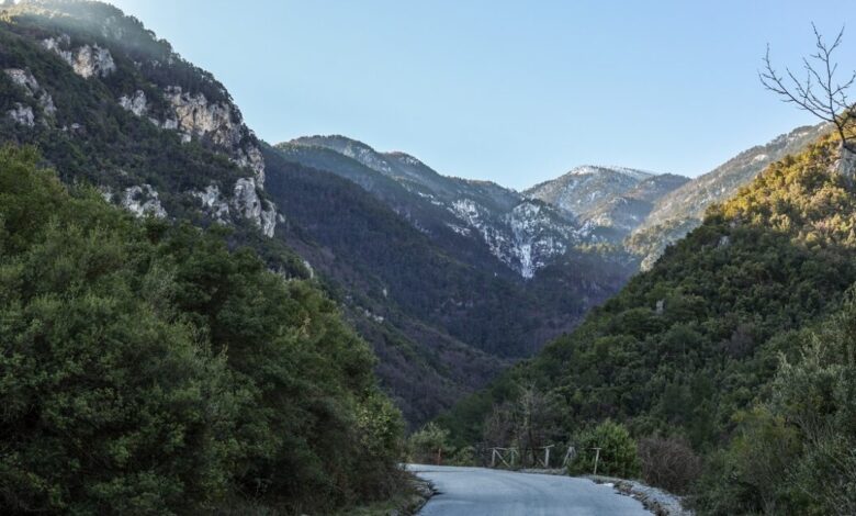 Νεκρή-η-γυναίκα-που-είχε-χαθεί-στον-Όλυμπο-–-Εντοπίστηκε-από-διασώστρια
