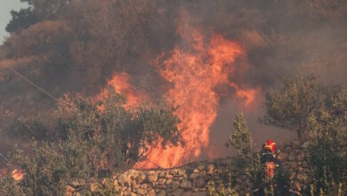 Φωτιά-σε-δασική-έκταση-στην-Καστοριά-στην-περιοχή-Μακροχώρι