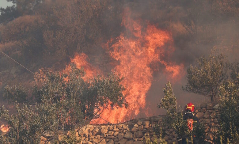 Φωτιά-σε-δασική-έκταση-στην-Καστοριά-στην-περιοχή-Μακροχώρι