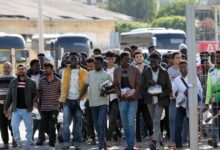 Θάνος-Πλεύρης-στη-daily-mail-για-το-μεταναστευτικό:-«Δεν-είμαστε-πια-ξενοδοχείο,-μην-έρχεστε-στην-Ελλάδα»